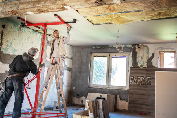 Best Insulation Contractor Near Me  in Albany, KY