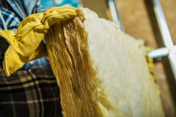 Best Insulation Replacement Services  in Albany, KY