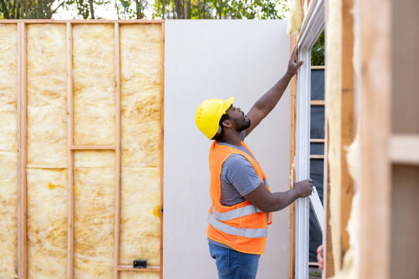 Best Local Insulation Services  in Albany, KY