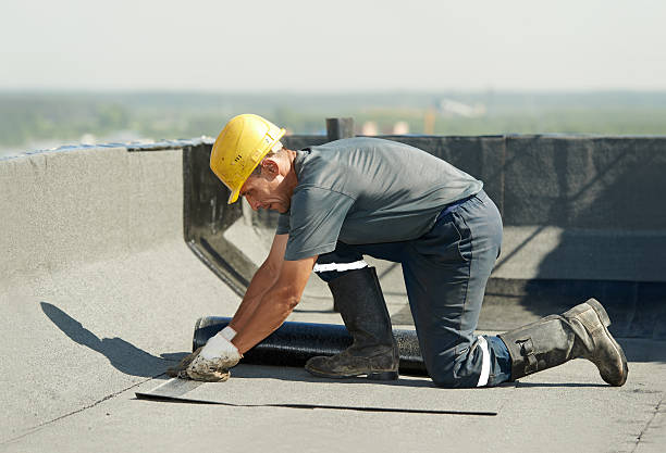Best Affordable Insulation Services  in Albany, KY