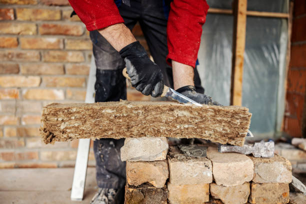 Best Residential Insulation Services  in Albany, KY