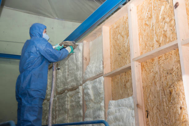 Best Blown-in Insulation  in Albany, KY
